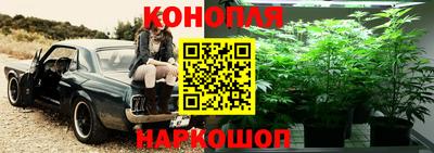 молекула духа Бийск